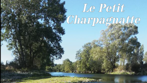 Petit charpagnatte 2019