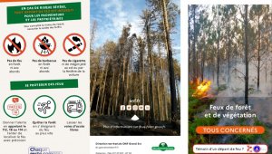 Infos Feux de forêt et de végétation